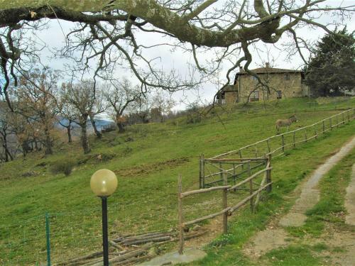 Marvelous Holiday Home In Arcidosso Near Castel Del Piano
