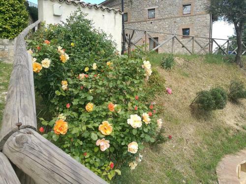 Hostal Camera Matrimonialedoppia Con Balcone Vista Piscina