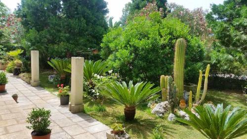 Apartamento Studio In Muro Leccese With Shared Pool And Wifi