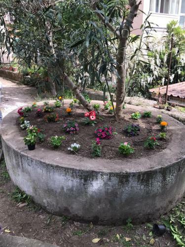 Bed & Breakfast Il Giardino Di Vico Neve