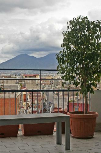 La Bella Vita Apartments