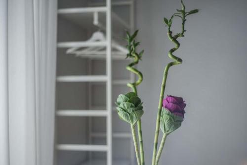Bed & Breakfast Medusa Chiaia 164