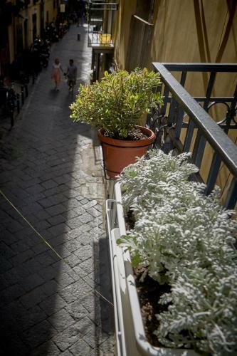 Bed & Breakfast A Casa Del Principe