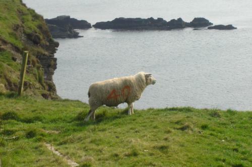 Bed & Breakfast Carraig Liath House