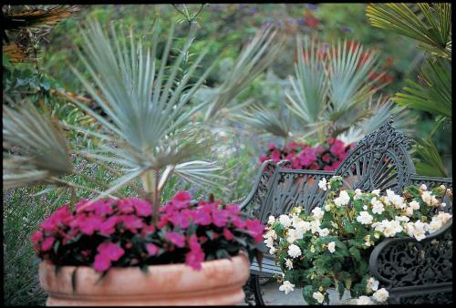 Kelly's Resort Hotel & Spa