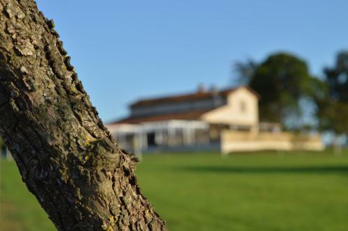 Bed & Breakfast Agriturismo Colle Salomonio