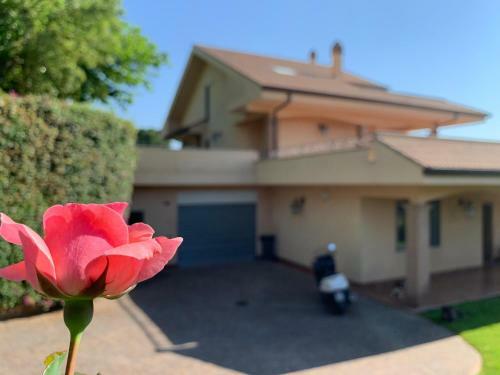 Dreams Home Nettuno Villa Con Piscina