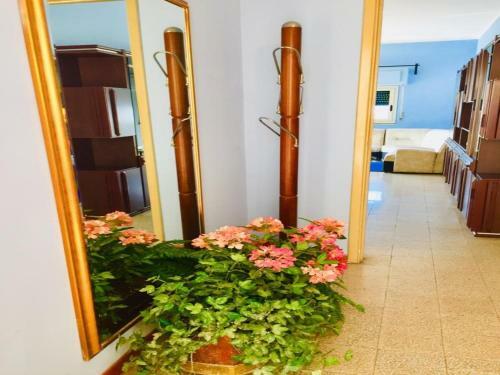 Apartamento My Lovely Home
