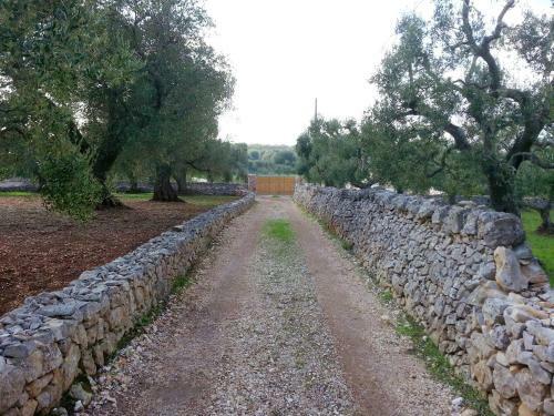 Apartamento Studio In Ostuni With Enclosed Garden