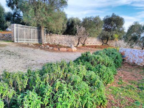 Apartamento Studio In Ostuni With Enclosed Garden