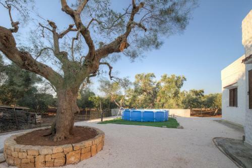 Villa P06 - Il Trullo Del Falegname By Typney