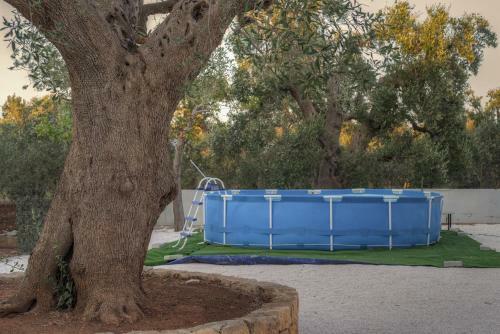 Villa P06 - Il Trullo Del Falegname By Typney