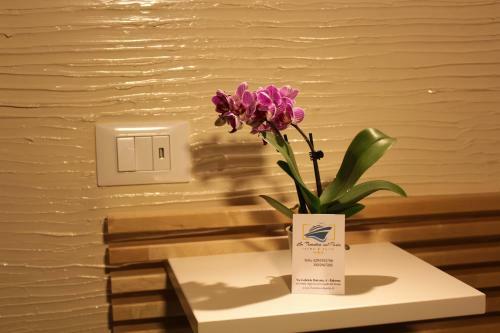 Hostal La Finestra Sul Porto