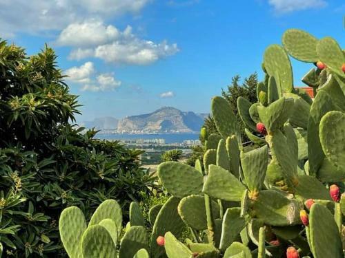 Apartamento Il Siciliano Home