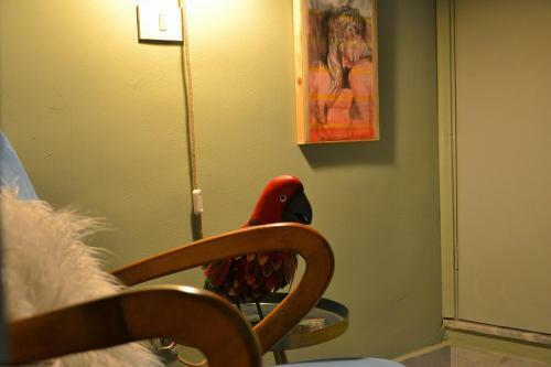 Bed & Breakfast Pal Art Rooms & Suite