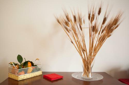 Bed & Breakfast Demetra Rooms