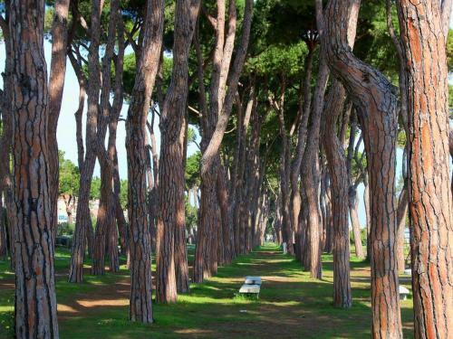 Apartamento Perla Plus Pineto Vacanza