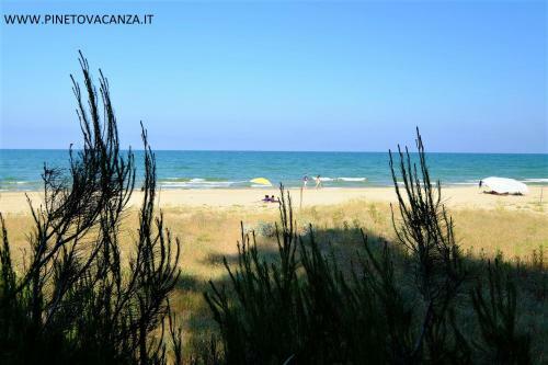 Apartamento Perla Plus Pineto Vacanza