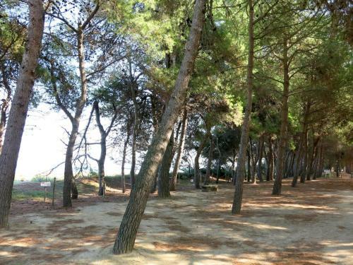 Apartamentos Locazione Turistica D'annunzio - Pit125-3
