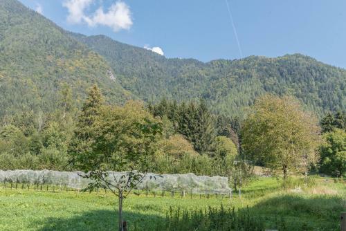Apartamento Appartamento Adamello 13