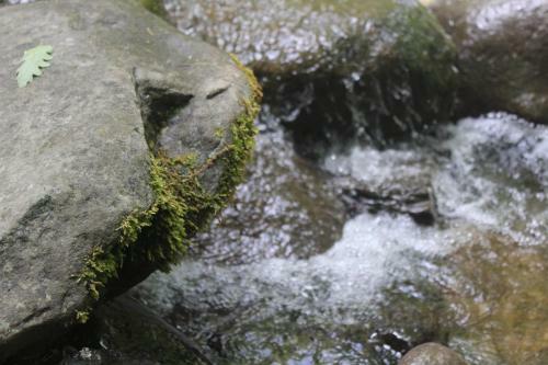 Agroturismo Societa' Agricola Lambure Srl