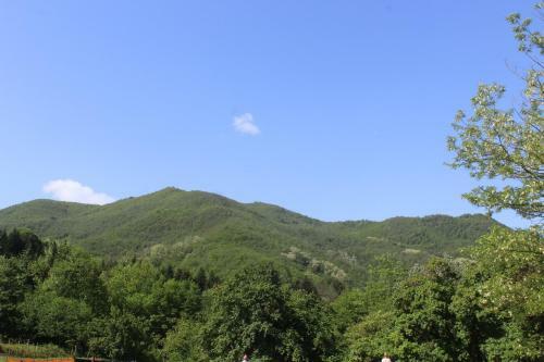 Agroturismo Societa' Agricola Lambure Srl