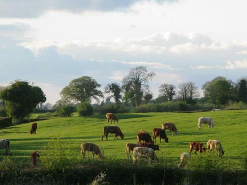 Gormagh B&B