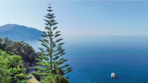 Entire Villa With Pool In Recco Cinque Terre