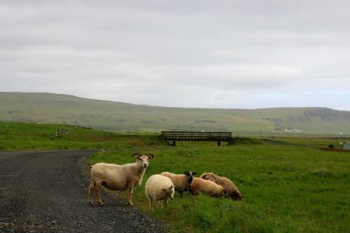 Hotel H�tel Geirland