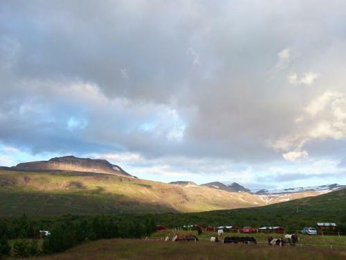 Stora Sandfell Rooms And Cottages