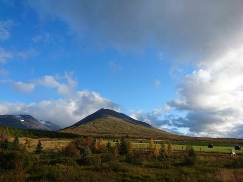 Stora Sandfell Rooms And Cottages