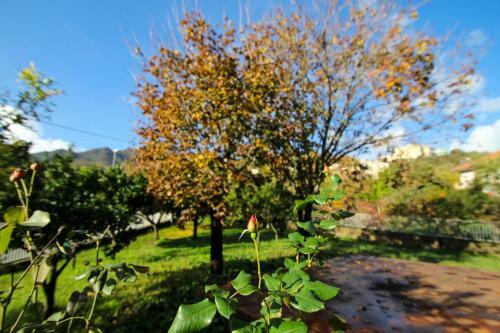 Acerorosso B&B