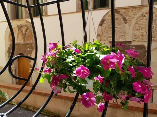 Apartamento Le Petit Bouganville