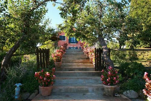 Villa Amore Rentals - Casale Della Toscana