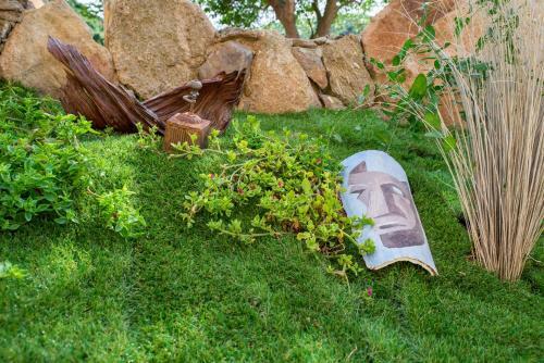 Hostal Affittacamere L ' Oasi Di Gino