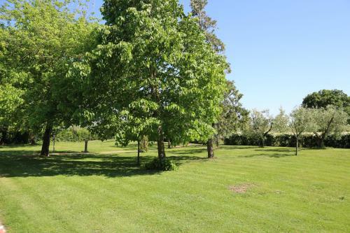 Bed & Breakfast Podere San Paolo