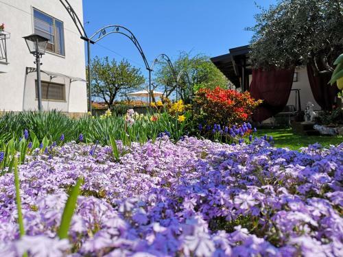 Hostal Villa Fiorita