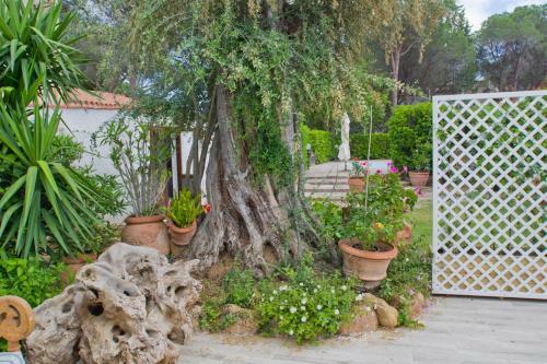 Villa Jungle House - Pineta Is Morus