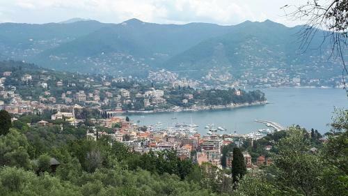 Terrace And Garden Santa Margherita - Ap2b