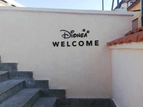 B&B Dionea