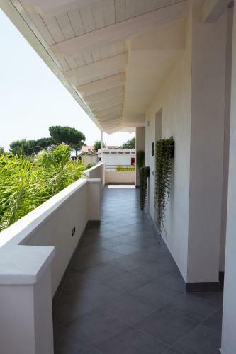 B&B Dionea