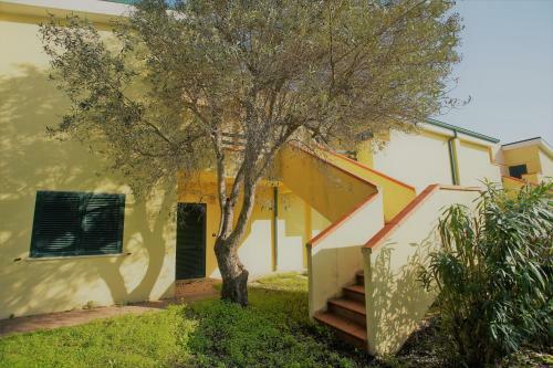 Apartamento Oasi Degli Ulivi - Bilo Standard