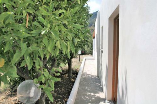 Case Mare - Terrazzi Panoramici E Ampio Giardino