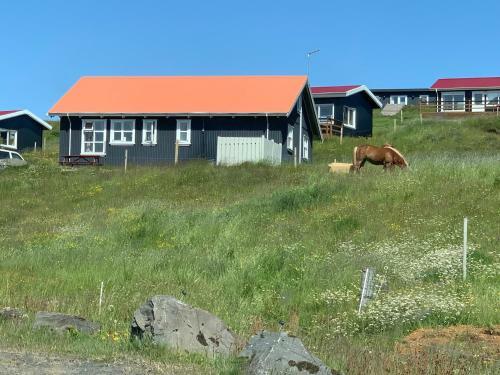 Hostal Hestheimar