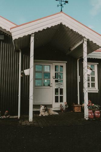 Hostal Hestheimar