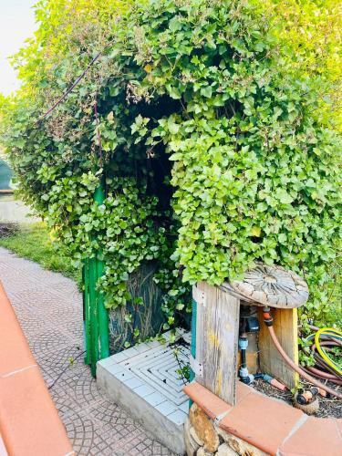 Apartamento Case Vacanze Le Rose
