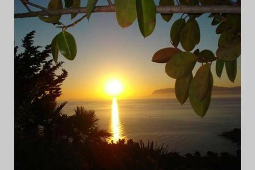 Fabulous View Front Of Mediterrain Sea