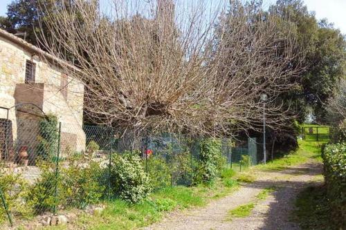 Apartment With 3 Bedrooms In Siena With Wifi