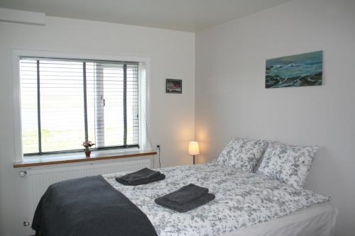 Hostal Guesthouse Svinavatn