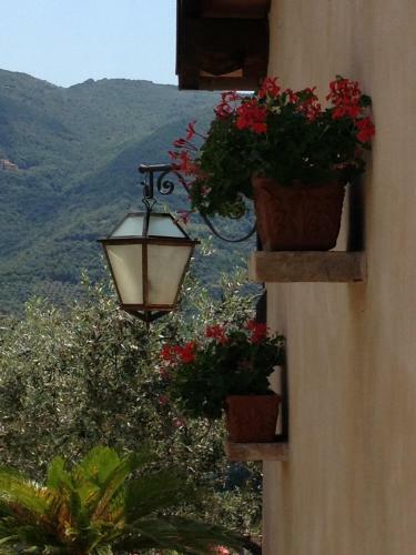 Agroturismo Agriturismo Collerisana